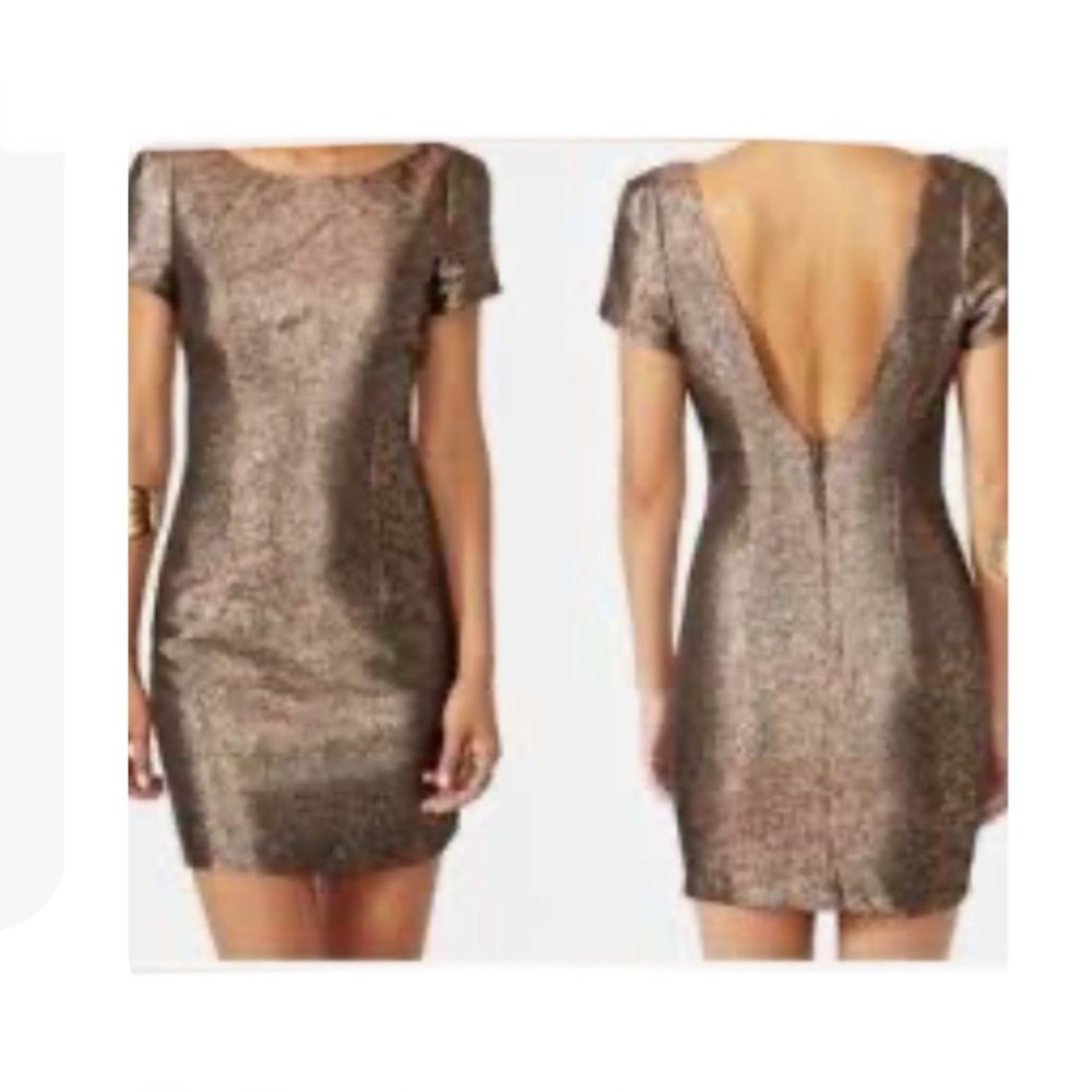 Ladakh Metallic Backless Dress sz 4